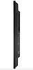 AG NEOVO Monitor wielkoformatowy QM-5503 CZARNY 500cd/m2 5000:1 24/7 4K