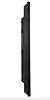 AG NEOVO Monitor wielkoformatowy QM-5503 CZARNY 500cd/m2 5000:1 24/7 4K