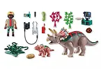 Playmobil Zestaw z figurkami Dinos 71821 Triceratopsy
