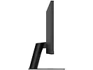 Monitor 29