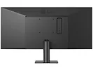 Monitor 29