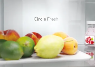 Candy Chłodziarko-zamrażarka ECN2CQTEX186