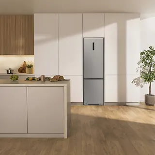 Gorenje Chłodziarko-zamrażarka NRB620E61X4WFE