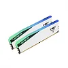 Patriot Pamięć DDR5 Viper Elite 5 RGB 32GB/6000 (2x16GB) C30 biała