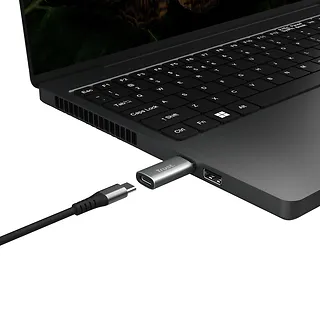 Trust Adapter Calyx USB-C do USB-A dwupak szary
