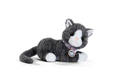 Zapf Maskotka interaktywna Baby Born M&oacute;j Kot Cookie z pudełkiem