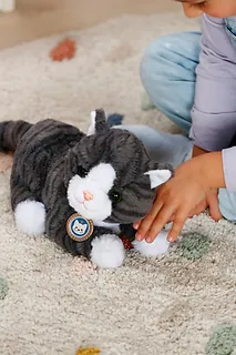 Zapf Maskotka interaktywna Baby Born M&oacute;j Kot Cookie z pudełkiem