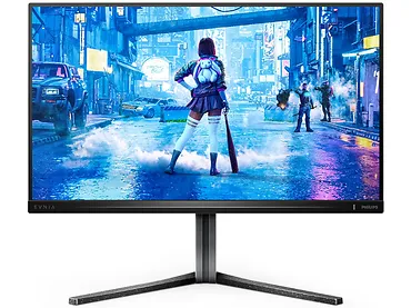 Monitor 24,5