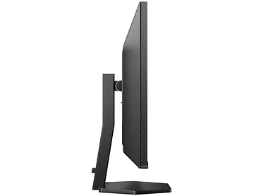 Monitor 31,5