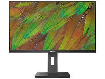 Monitor 31,5