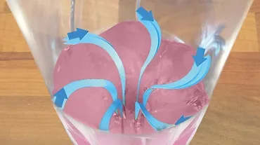 Bosch Mini blender z butelką ToGo MMB2111S