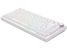 Klawiatura magnetyczna SAVIO ASTRAL White OUTEMU White Jade RGB