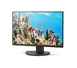 Sharp Monitor MultiSync DD-EA242W 24.1 cala  czarny