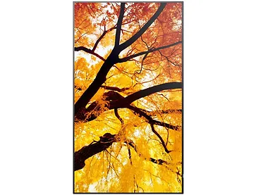 Monitor wielkoformatowy 43