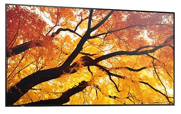 Sharp Monitor wielkoformatowy MultiSync M502 50 cali 550cd/m2 24/7