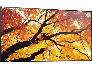 Monitor wielkoformatowy 50