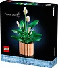 LEGO Klocki Botanicals 11504 Skrzydłokwiat