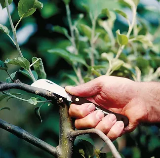 Fiskars Sierpak K62 1001623