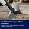 Electrolux Odkurzacz pionowy Clean 600 EP61CB21OG