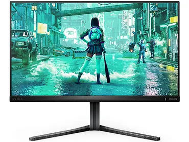 Monitor 24,5