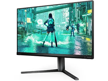 Monitor 24,5