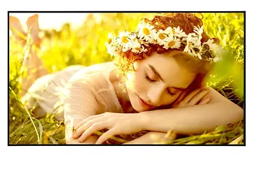 LG Electronics Monitor wielkoformatowy 65UL5Q-E 500cd/m2 UHD 24/7