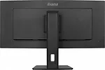 IIYAMA Monitor 34 cale XCB3497WQSNP-B1 + Norton Small Business card 250G PL