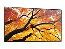 Sharp Monitor M652 65 cali 24/7 550cd/m2