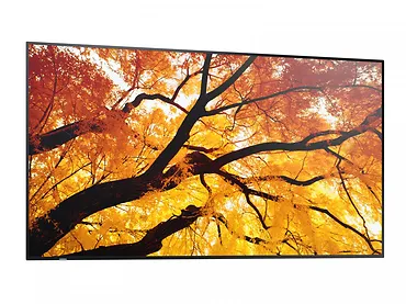 Sharp Monitor M652 65 cali 24/7 550cd/m2