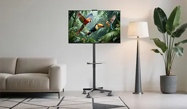 Gembird Stojak podłogowy pod telewizor, mobilny, na k&oacute;łkach, regulowany, 32-55 cali, kolor czarny