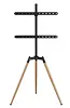 Gembird Stojak podłogowy pod telewizor (obrotowy), 32-65 cali