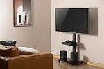 Gembird Stojak podłogowy pod telewizor, mobilny na k&oacute;łkach (obrotowy/uchylny), 32-75 cali, czarny