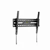 Gembird Uchwyt ścienny do telewizora (regulowany), 37 cali-86 cali, do 75kg, czarny
