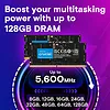 Crucial Pamięć DDR5 SODIMM 16GB/5600 CL46 (16Gbit) Tray