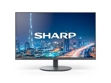 Sharp Monitor MultiSync DD-E224F 22 Czarny
