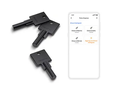 Inteligentny klucz do zamka Netatmo NDL-K3U (3 szt.)
