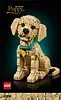 LEGO Klocki Icons 11384 Szczeniak golden retriever